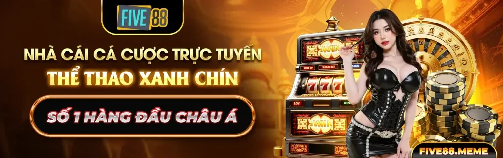 Tổng quan Chính sách Cookie của m2 888p